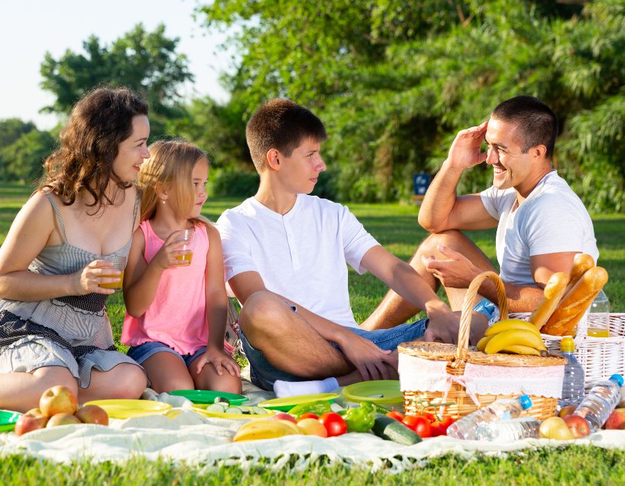 Nature Picnic & Forest Retreat